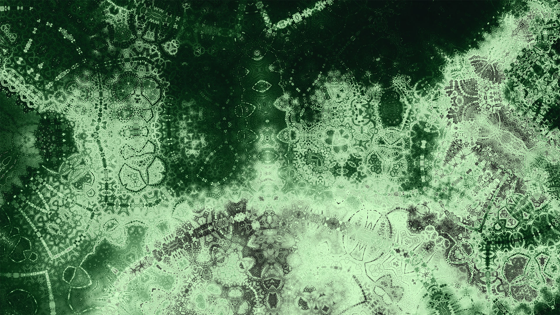 5f1c7d33520e0.jpg