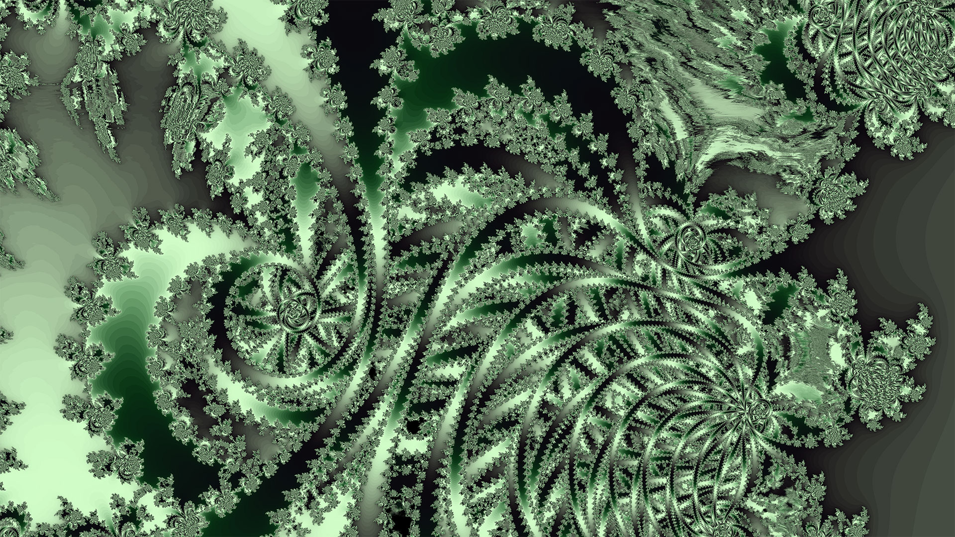 5f1c7d33522bc.jpg
